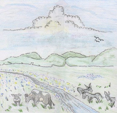 The Fruit of Righteousness will be peace