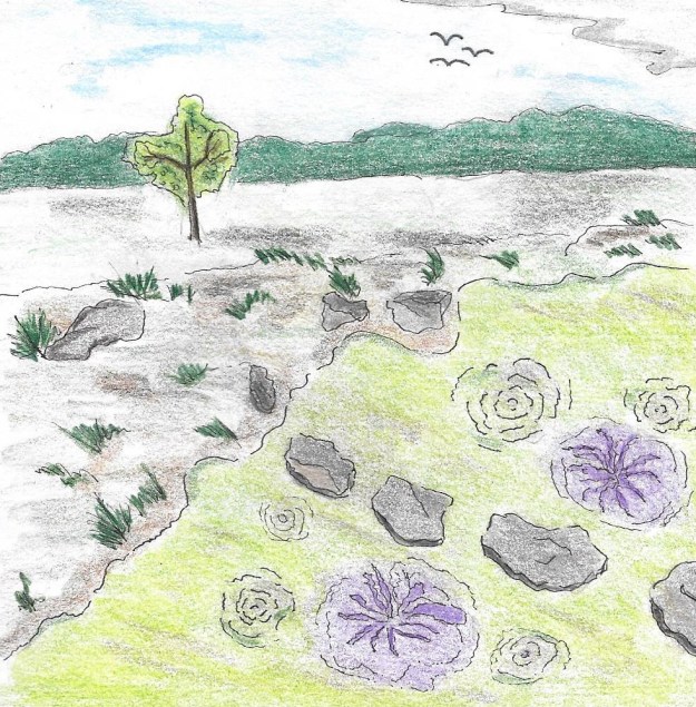 HE WILL PROVIDE A WAY.jpg