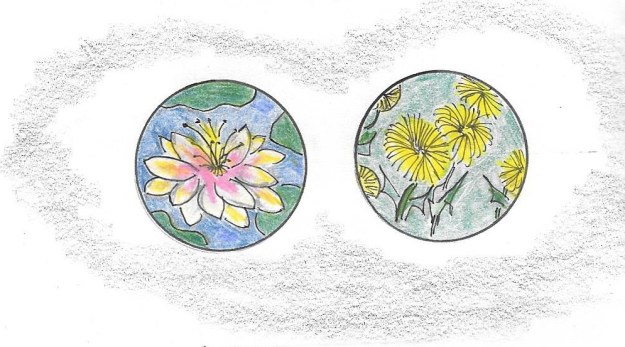 THROUGH THE EYES OF JESUS.jpg