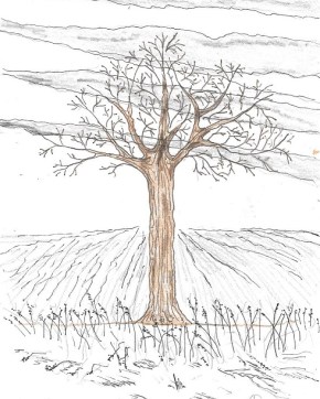 A PROMISE OF SPRINGTIME.jpg