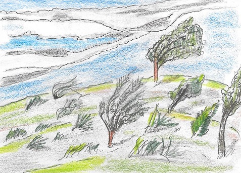 LIKE A MIGHTY WIND.jpg